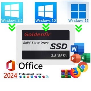 SSD 128GB 256GB 480GB 512GB 1TB Original Com Windows e Office