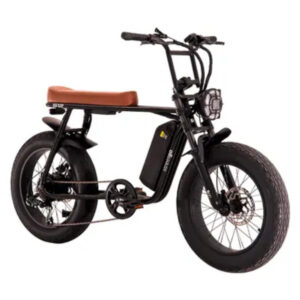 Bicicleta Elétrica Bike 750W Freio Hidráulico StreetGo