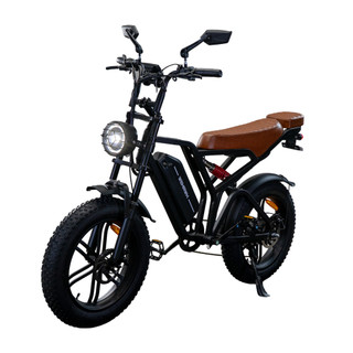 Bike Elétrica E-bike 750W Wehawk Bateria de Lítio Wx-19 48V 15Ah Pré Montada