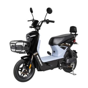Bicicleta Elétrica WX-15 Wehawk 800W Bat Litio 48V 20AH Pré Montada